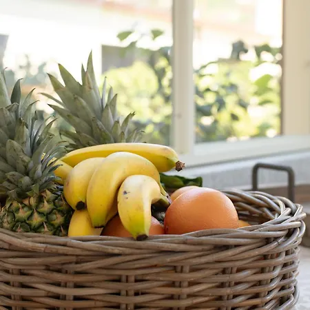 Eden Jacuzzi Pool ベッド・アンド・ブレックファスト