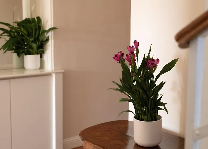 Bed & Breakfast Eden Jacuzzi Pool 4*